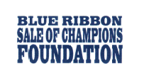 Governor's Blue Ribbon Sale of Champions Foundation